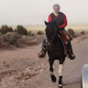 Meet your Posher, Patsy